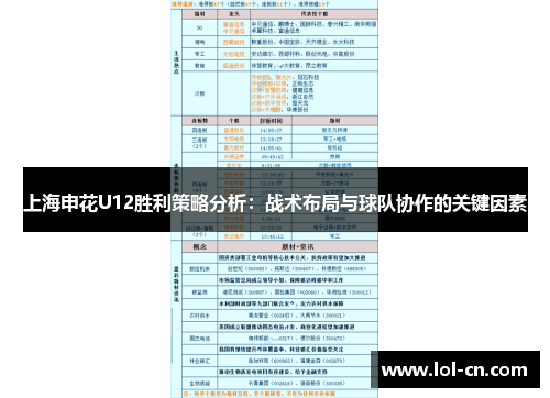 上海申花U12胜利策略分析：战术布局与球队协作的关键因素