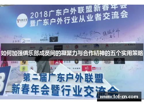 如何加强俱乐部成员间的凝聚力与合作精神的五个实用策略