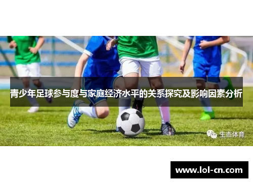 青少年足球参与度与家庭经济水平的关系探究及影响因素分析
